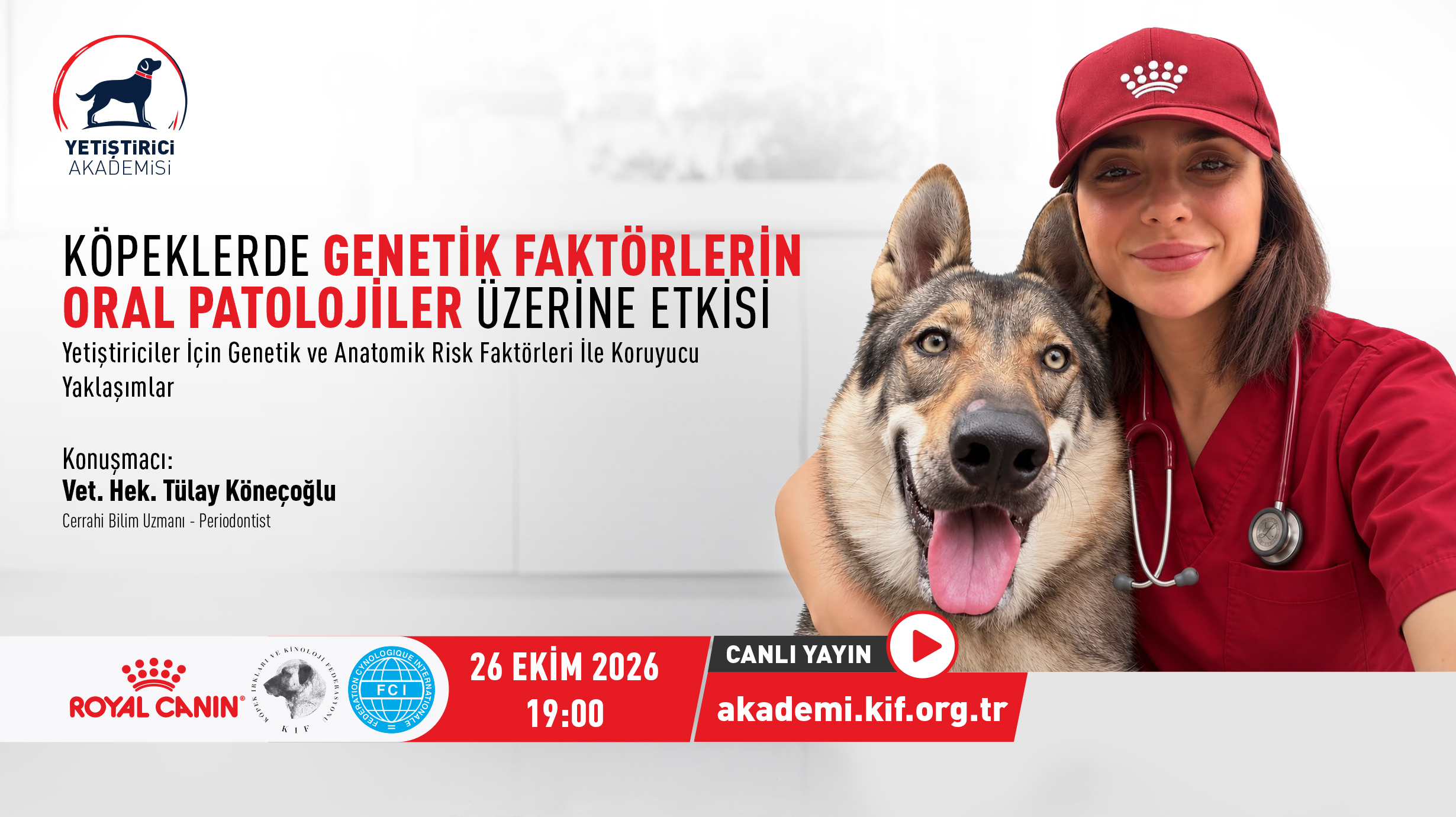 Köpeklerde Genetik Faktörlerin Oral Patolojiler Üzerine Etkisi